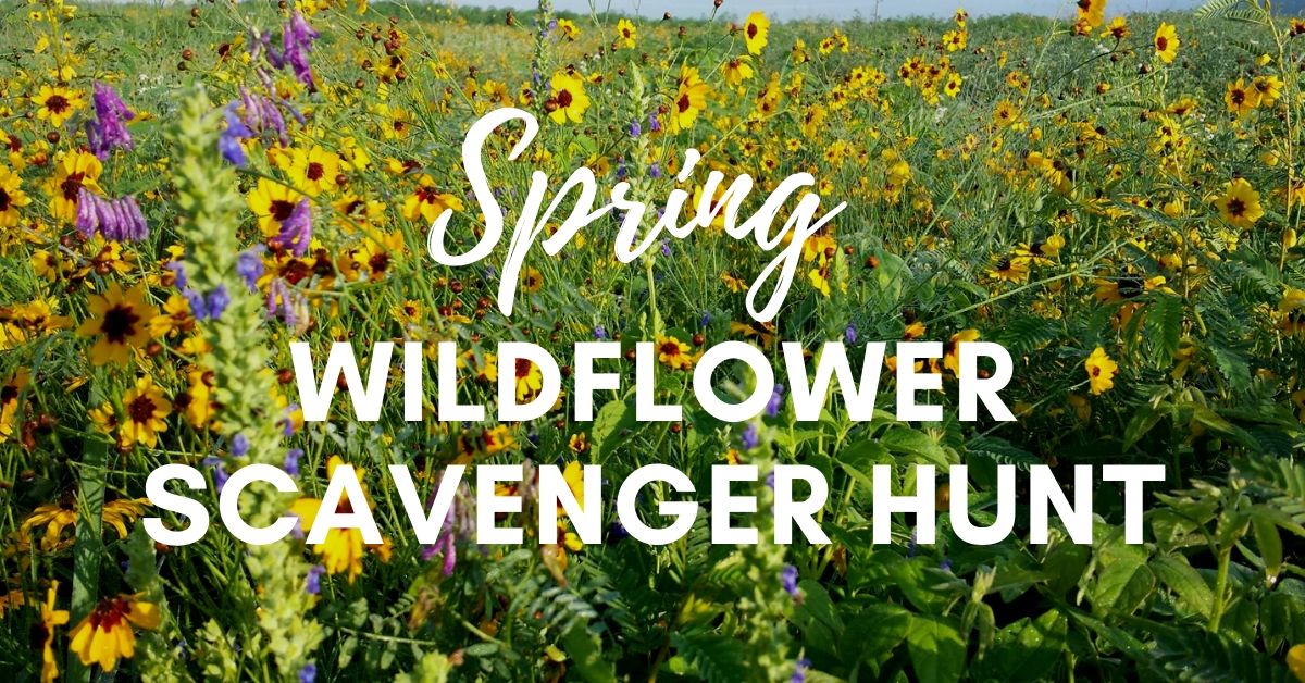 Spring Wildflower Scavenger Hunt — Tennessee State Parks