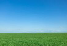 11/8/25: Clear Skies and Mild Temps, High 68.9 Today in Dickson County