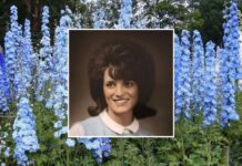 OBITUARY: Linda Kay Creech Linda-Kay-Creech