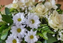 OBITUARY: Shirley Ann Butterbaugh Shirley Ann Butterbaugh Obit