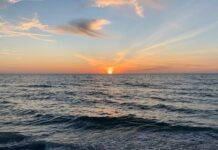 OBITUARY: Gene Autry Gardner obit88