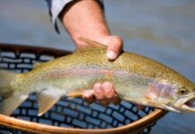 Comment Period Open for Fishing Regulations Proposals
