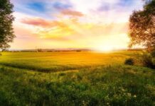 OBITUARY: John Thomas ‘Jack’ Robbins obit56