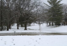 How to Safely Use Propane Heaters During Middle Tennessee Winter Storm