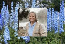 OBITUARY: Linda Lou Johnson Miller Linda-Lou-Johnson-Miller