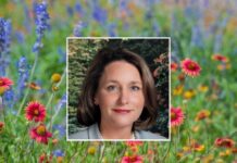 OBITUARY: Sharon Ann Jackson Long Sharon-Ann-Jackson-Long