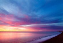 OBITUARY: William Dale Overton obit57