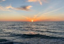 OBITUARY: Fred Thomas Tidwell obit88