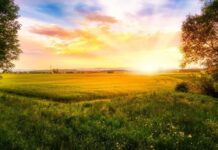 OBITUARY: Roger Dale Nesbitt obit56