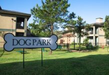 Designing a Dog Park: What HOAs and Cities Should Know Why dog park surfacing choices determine long-term success