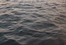 TWRA Responds To Drowning Incident On Tims Ford Lake