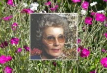 OBITUARY: Lula Mai Tucker Mills Lula-Mai-Tucker-Mills