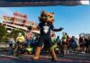 Join the Titans Foundation 5K, Score a Free Game Ticket Titans-Foundation-5K